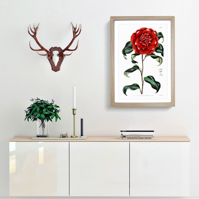 Crimson Camellia Flower - Framed Print, 65cm H x 48cm W x 2cm D, Oak Framed