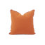 Delijah Sunbrella® Throw Square Indoor/Outdoor Pillow Cover & Insert-1204448539-1204448514