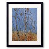 Aspen Trees Print by Pol Ledent