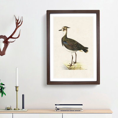 Northern Lapwing Bird by Von Wright - Picture Frame Painting Print