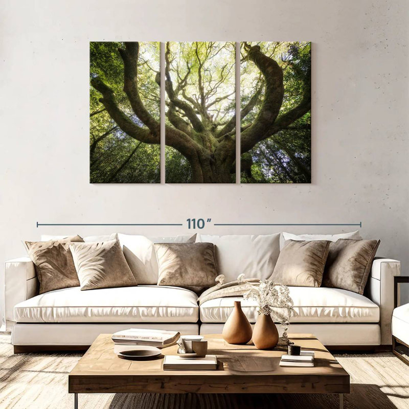 Harnek The Old Octopus Beech, 48" H x 74" W