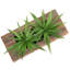 14cm Faux Onion Grass Grass in Solid Wood Planter-1073298280