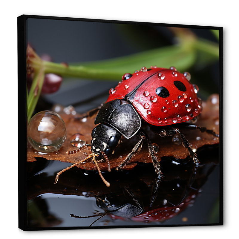 «Lactive Ladybug Reflections I», reproduction sur toile, H 24 po x l 24 po x P 1 po, Cadre flottant noir