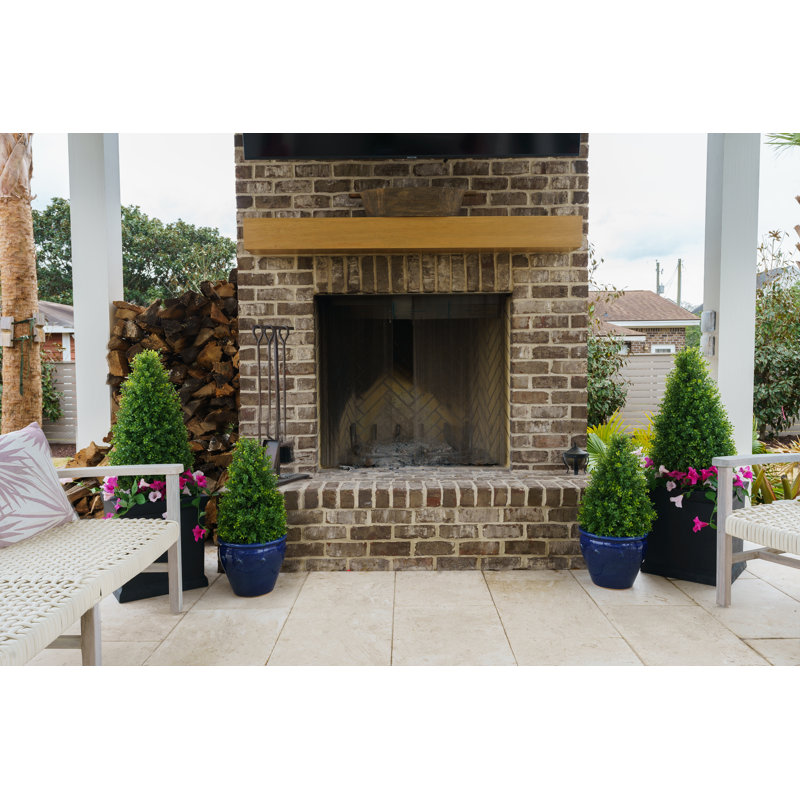 Pine Tree in Planter, 18"