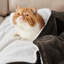 Bedsure Soft Sherpa Fleece Throw Blanket-1928524777-1928524753