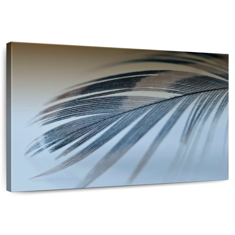 Kerner Single Feather, 16" H x 24" W