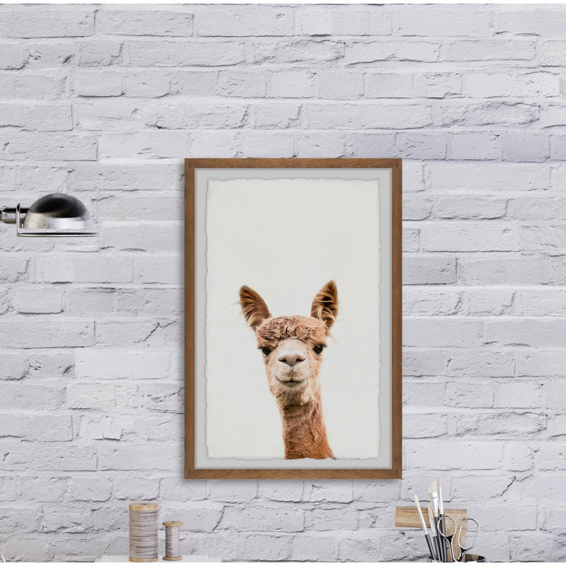 « llama face iv »-impression d’art graphique encadrée sur papier, H 24 po x l 16 po x P 1,5 po