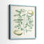Buchoz Tropicals III - reproduction encadrée de qualité supérieure - prête à être accrochée - aucun clou requis - aucun clou requis-1569479730-1569479743