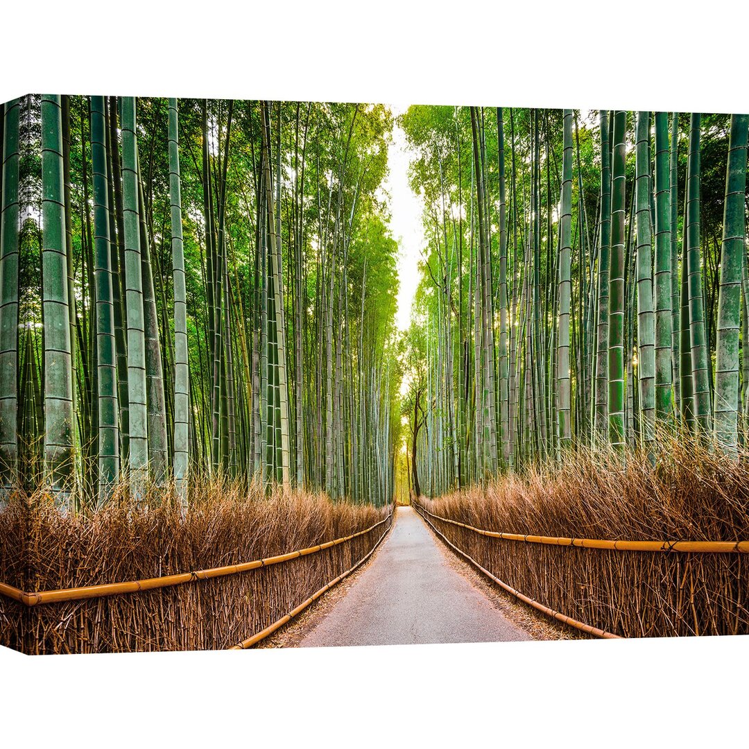 Fotodruck Bamboo Forest, Kyoto, Japan von Pangaea Images