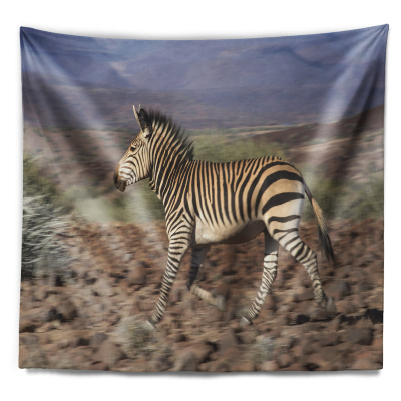 Tapisserie «Schafer Zebra in Damaraland», H 50 po x l 60 po