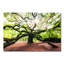 Tree Of Strength Print-76669143