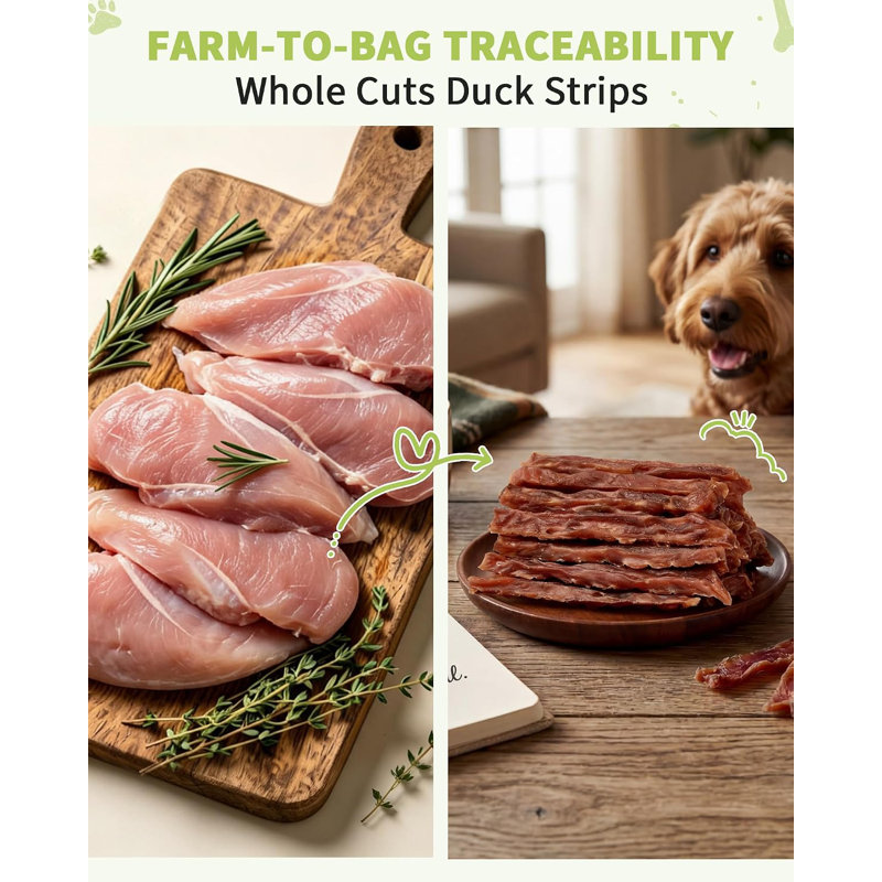 Gâteries de canard séchées pour canard, pot de 12,5 oz, collations d'entraînement moelleuses à faible teneur en matière grasse, gâteries de poitrine de canard déchiquetables pour chiens de petite, moyenne et grande race