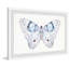 Unfolded Wings by Marmont Hill - Single Picture Frame Painting-1242132245