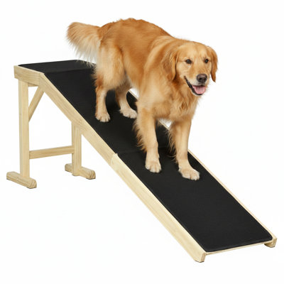 Rampe d'accès Canine