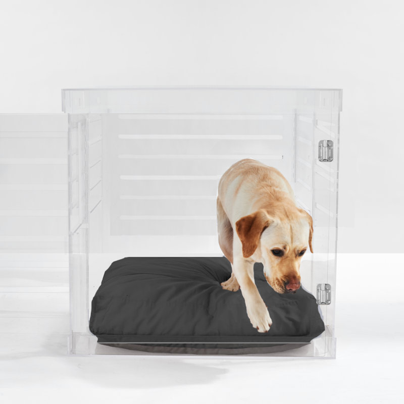 Large Clear View Pet Crate with Silver Latch, Charcoal
