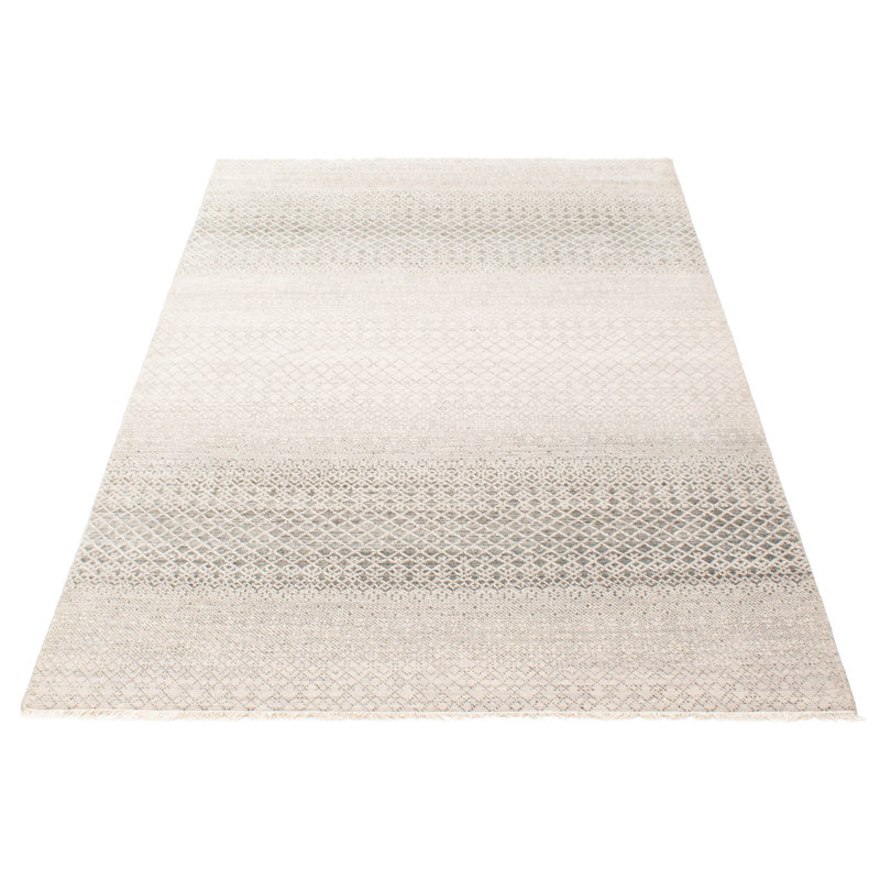 Tapis gris ombre en soie 6 pi 3 po x 9 pi 0 po