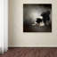 «Ready to Play Border Collie», impression sur toile tendue Vidur-22073358