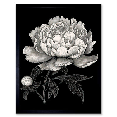 Fotou A Peony Flower Bloom Black And White Blind Contour - Single Picture Frame Print