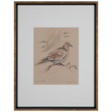 Dove Rest XI Print by Daughdrill