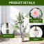 152cm Plant