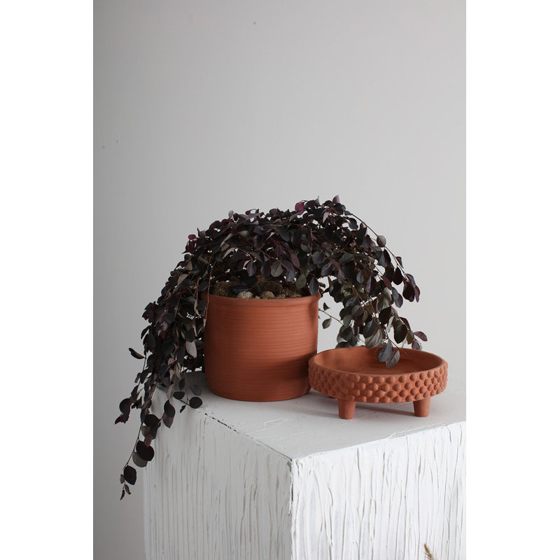 Pot à fleurs en céramique Hendrikka Jane, Terre cuite, H 7,75 po x l 8 po x P 8 po