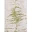 Mid Century Modern Abstract Animal Print Rug-749822952
