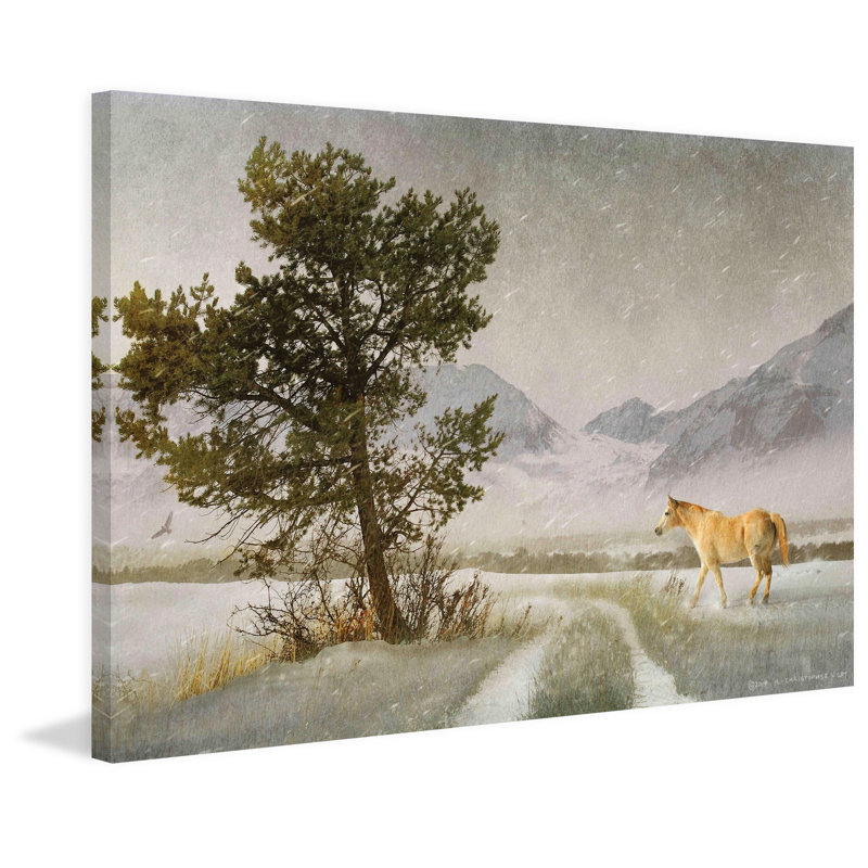 Lonely Horse by Chris Vest - Wrapped Canvas Print, 101cm H x 152cm W