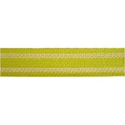 Tissu Carnivale