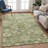 Machine Washable Indoor/Outdoor Jadiel ACN2356 Traditional Rug-878219673