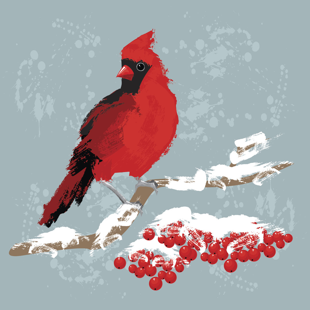 Red Bird Cardinal On Branch With Berries.