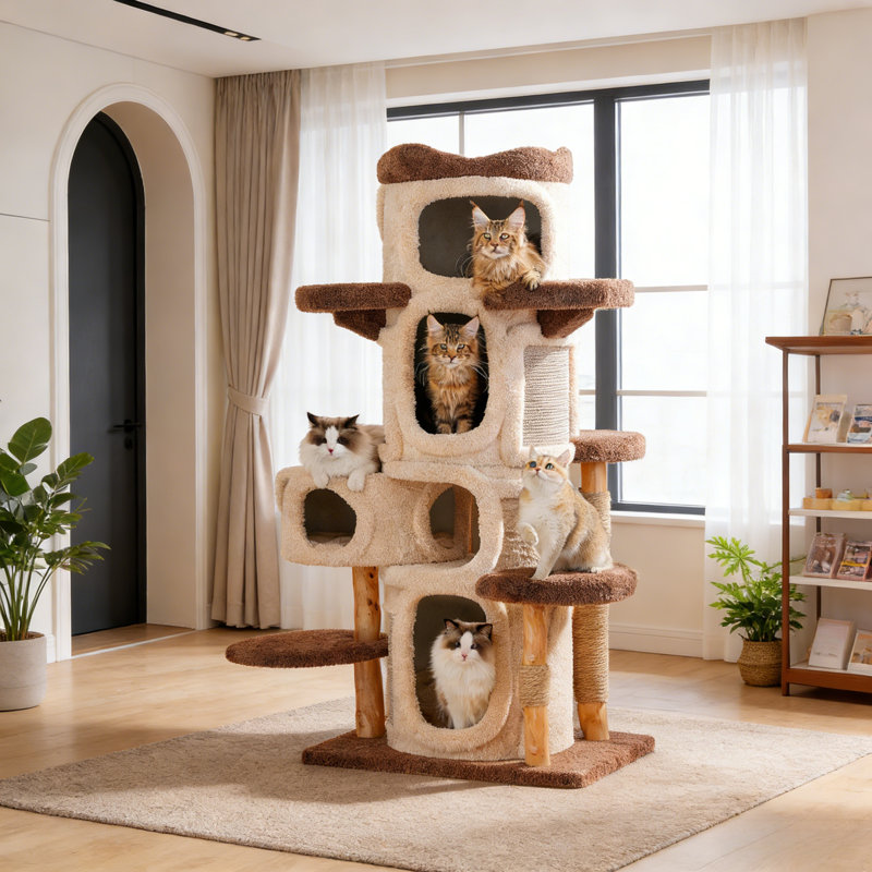Structure d'escalade simple pour chat