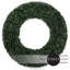 Couronne de verdure de porte d'entrée-63658171