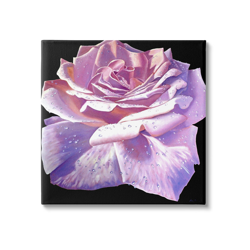 "Lush Pink Rose Petals Flower Water Droplets", art mural par Alan Weston, H 36 po x l 36 po x P 1,5 po