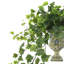 Rio Faux Ivy Plant in Ceramic Vase