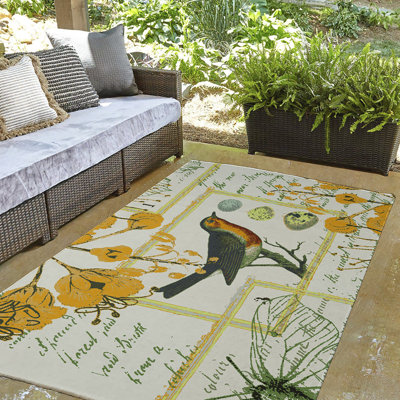 Clairemarie Chenille Indoor Rug