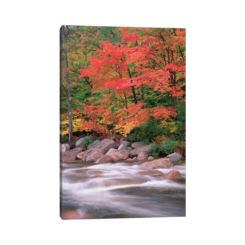 Autumn Along Swift River, White Mountains National Forest, New Hampshire - Vertical by Tim Fitzharris - Gallery-Wrapped Canvas Giclée on Canvas