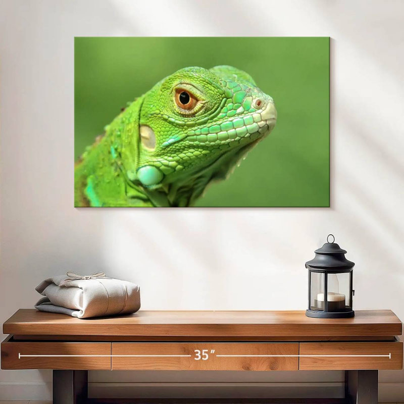 Green Lizard Closeup, 16" H x 24" W