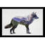 Rocky Mountain Gray Wolf par - impression-20697187-20697189
