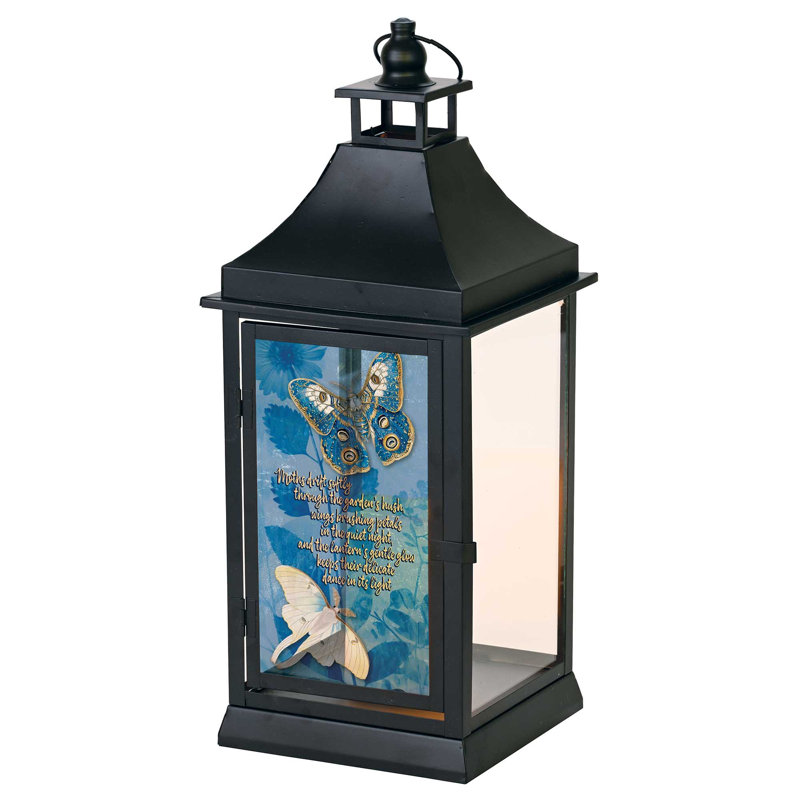 Large Outdoor Lantern Moths Drift Softly