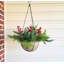 Panier suspendu Christmas Berry