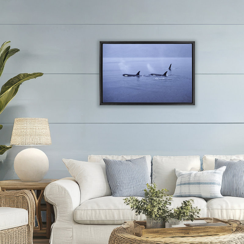 Cadre flottant Orca Whispers Seascape, design par Norm Stelfox, H 21 po x l 31 po, Cadre flottant noir de jais