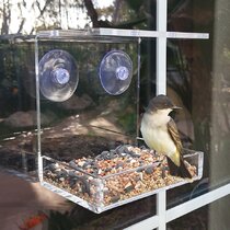 AMSAMOTION Mangeoire à Oiseaux pour Fenêtres, fenêtre de volière avec  ventouse, distributeur de nourriture pour oiseaux sauvages, mangeoire pour  oiseaux, mangeoire pour oiseaux acrylique avec ventouse : :  Jardin