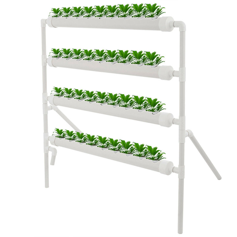 Boshen Growing Kit