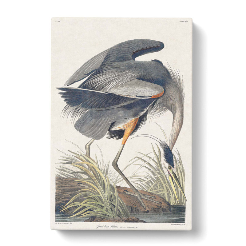Great Blue Heron - Wrapped Canvas Painting, 50cm H x 35cm W x 3cm D