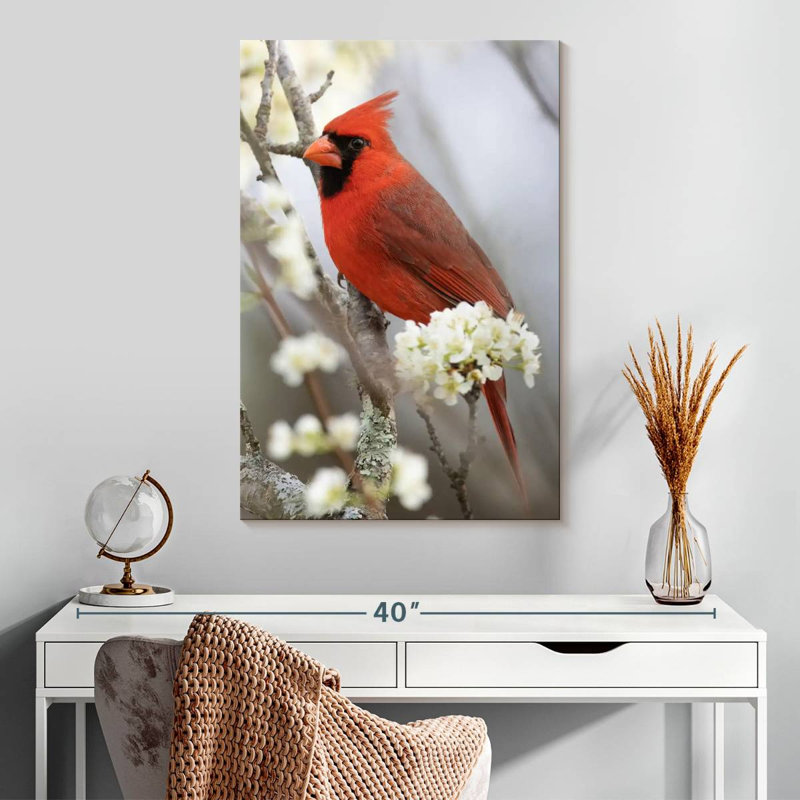 Cardinal Brampt Northern sur une branche fleurie, H 30 po x l 20 po
