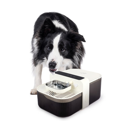 Lifestyle 4 animaux de compagnie-Distributeur d'eau FreshSip