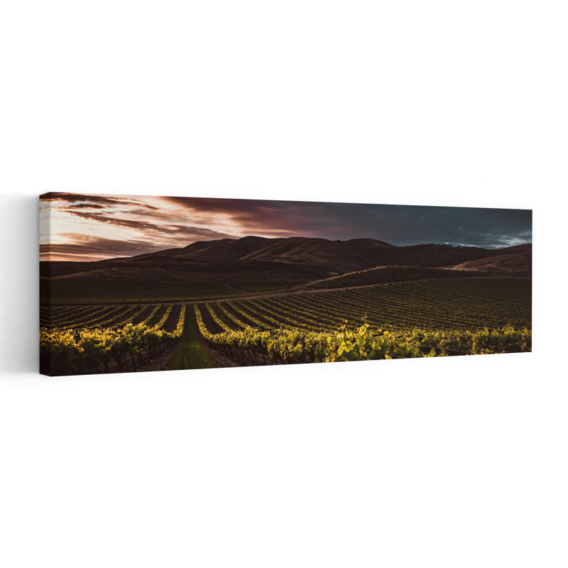 Vineyard Sunset Glow by Tim Mossholder - Wrapped Canvas Panoramic Print, 40.64 cm H x 121.92 cm W