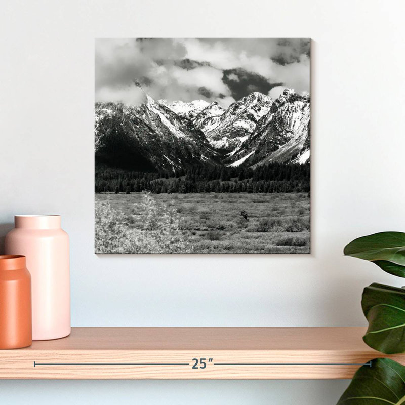 Alvord Snowy Teton Mountains BW, H 16 po x l 16 po