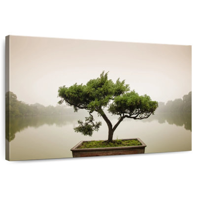 Harnek Zen Garden Bonsai Tree