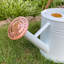 Metal Watering Can-75050059